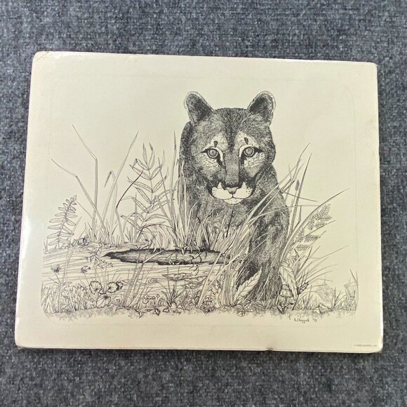 Karen Chappell Vintage Mountain Lion Ink & Pencil on Paper Drawing Signed 1978 - Picture 1 of 11